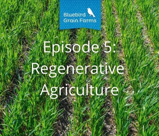Episode 5: Regenerative Agriculture, Listen to our Farm Direct Podcast Now