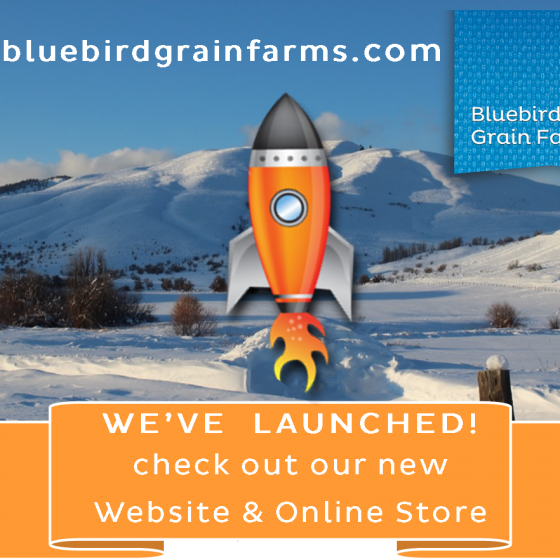 Welcome to our New Web Site and Online Store!