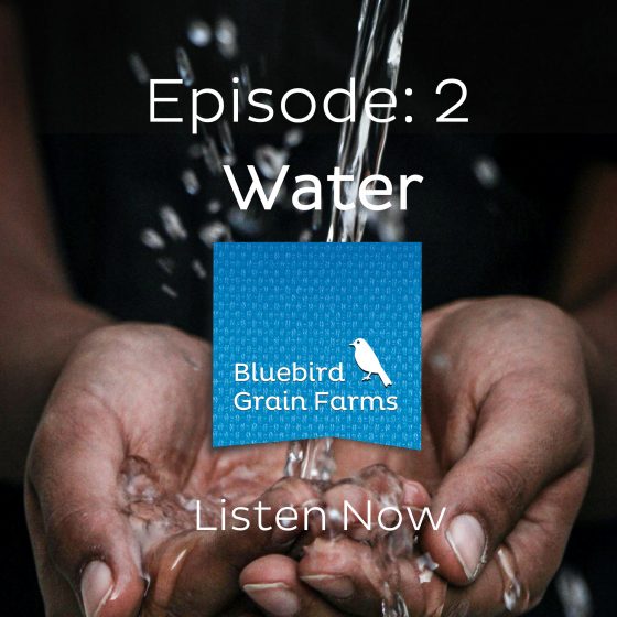 Episode 2 - Water, Listen to our Farm direct Podcast Now