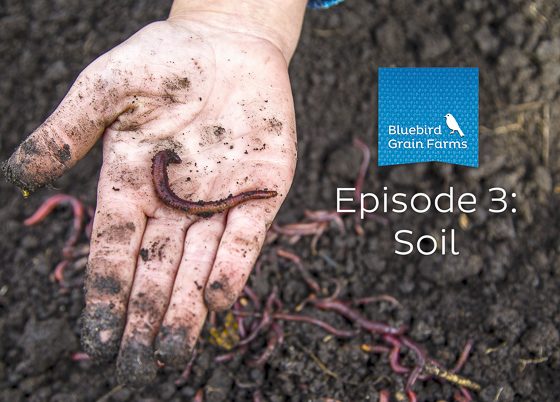 Episode 3: Soil, Listen to our Farm Direct Podcast Now