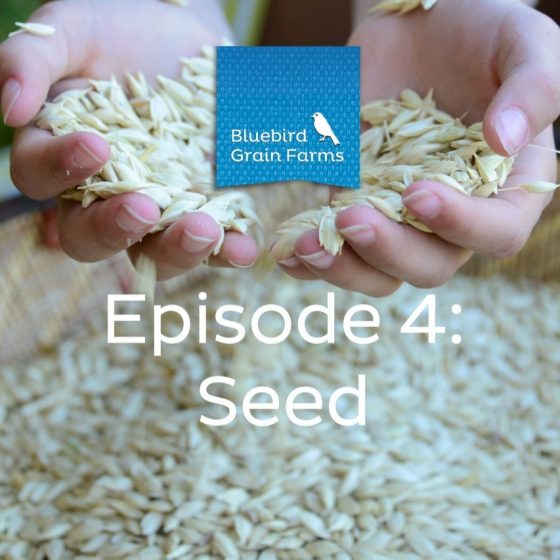 Episode 4: Seed, Listen to our Farm Direct Podcast Now