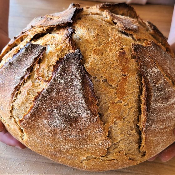 Crusty Einkorn Whole Wheat Sourdough Bread