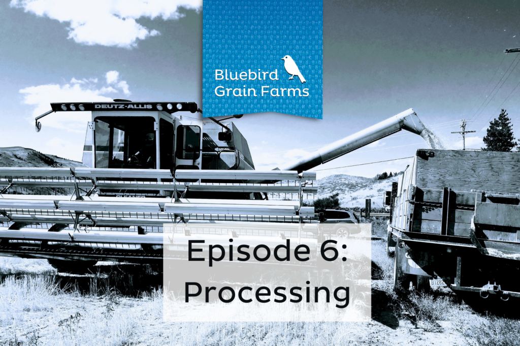 Podcast: Episode 6- processing