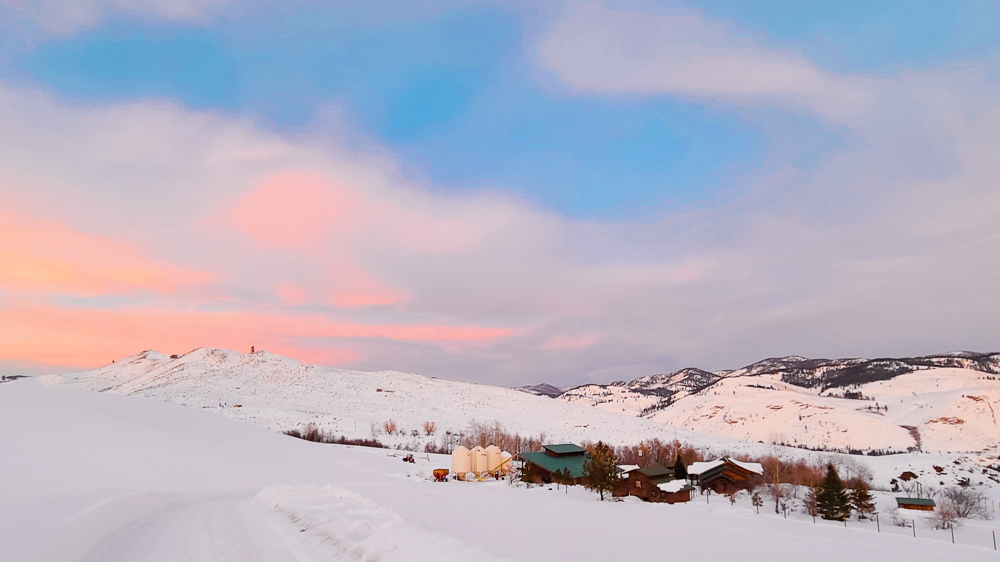 winter fields