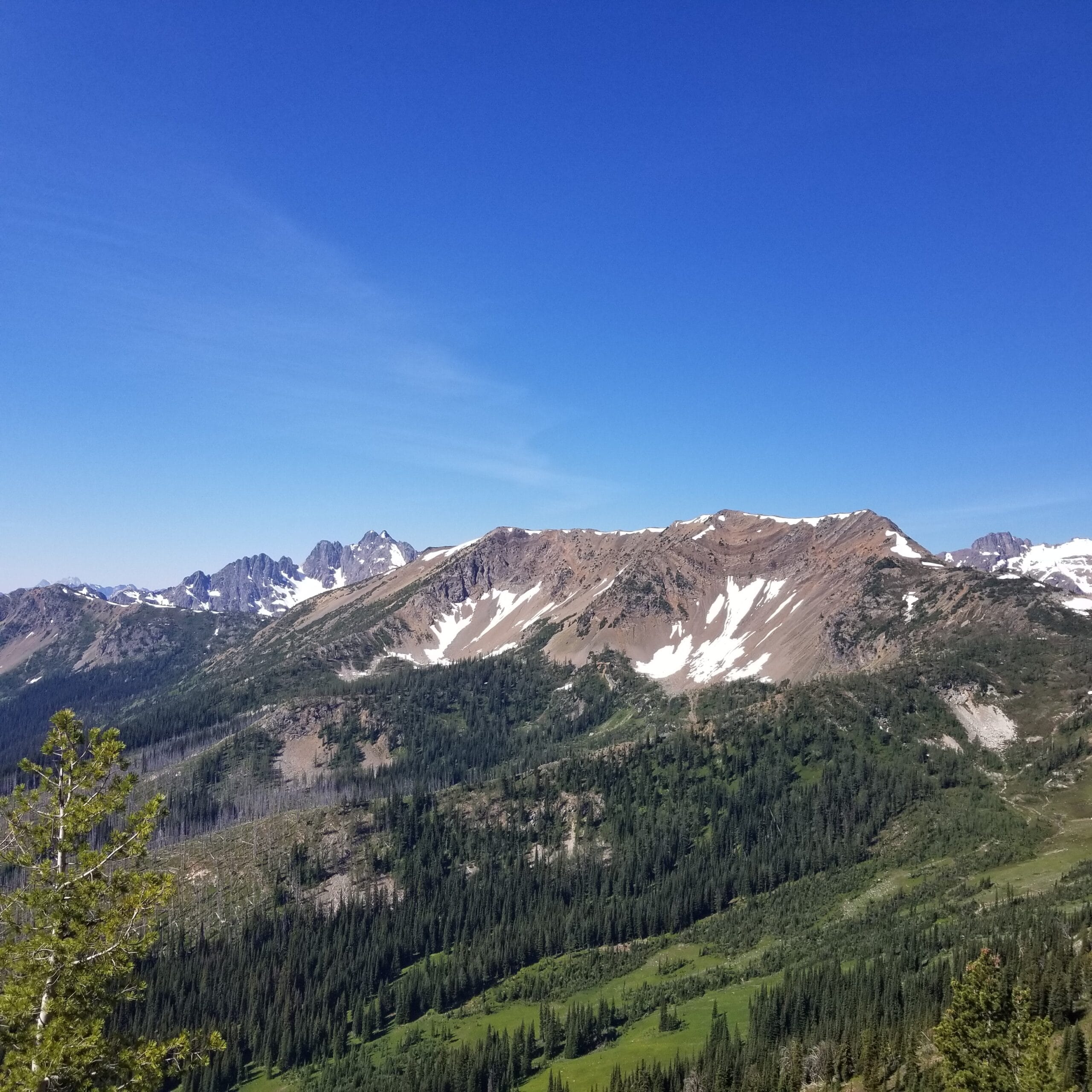 Looking at Grasshopper Pass from PCT South - July 24th