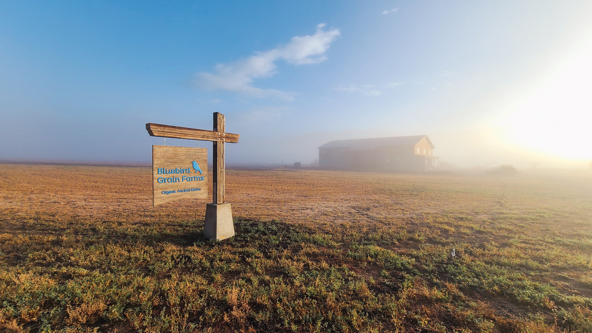Bluebird's New Granary and Field on a foggy morning