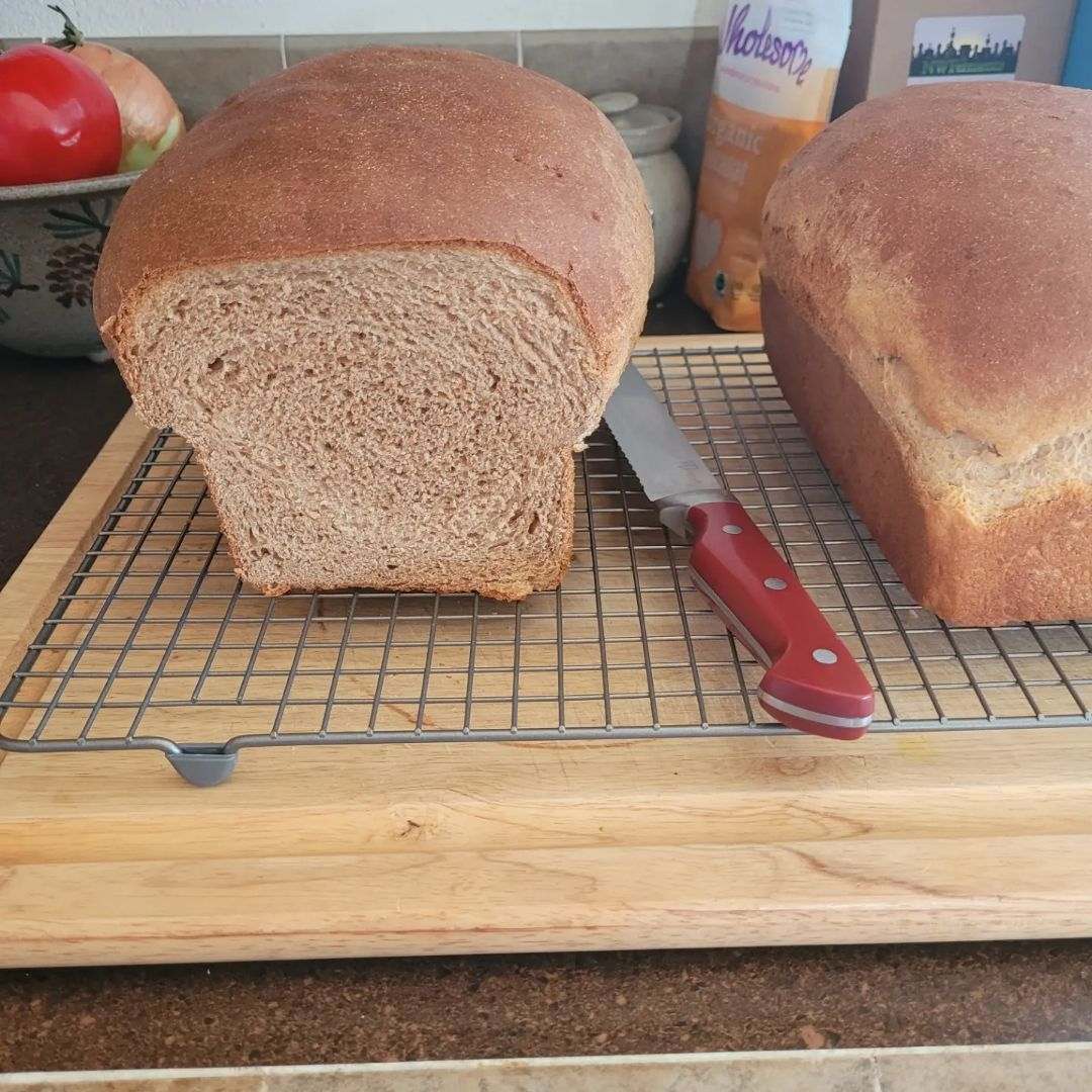 Fluffy Hard Red Wheat Loaves