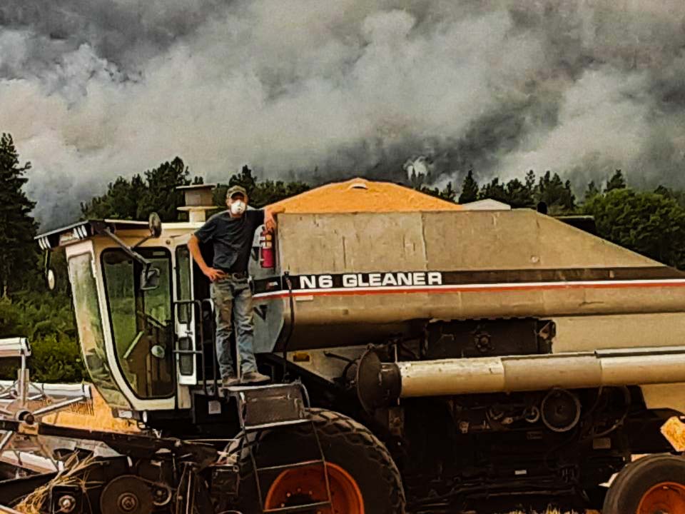 Sam Lucy with a load of  Methow Hard Red Wheat. Cedar Creek fire rages in the background.