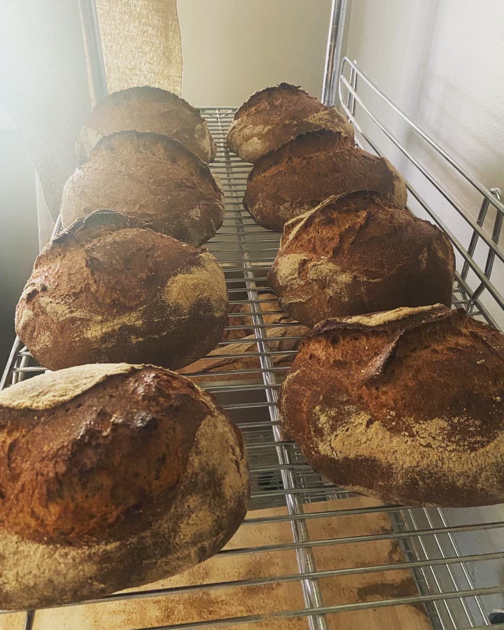 punk rock breads on rack