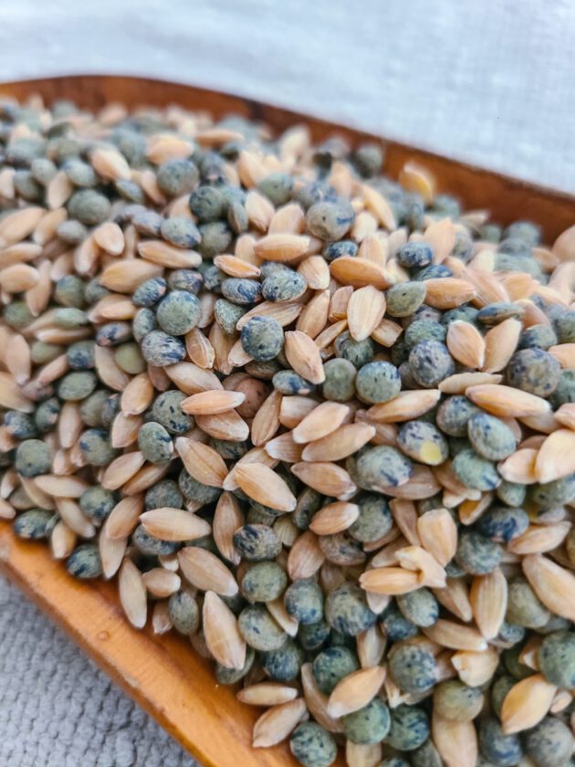 organic ancient grains, einkorn, french lentils