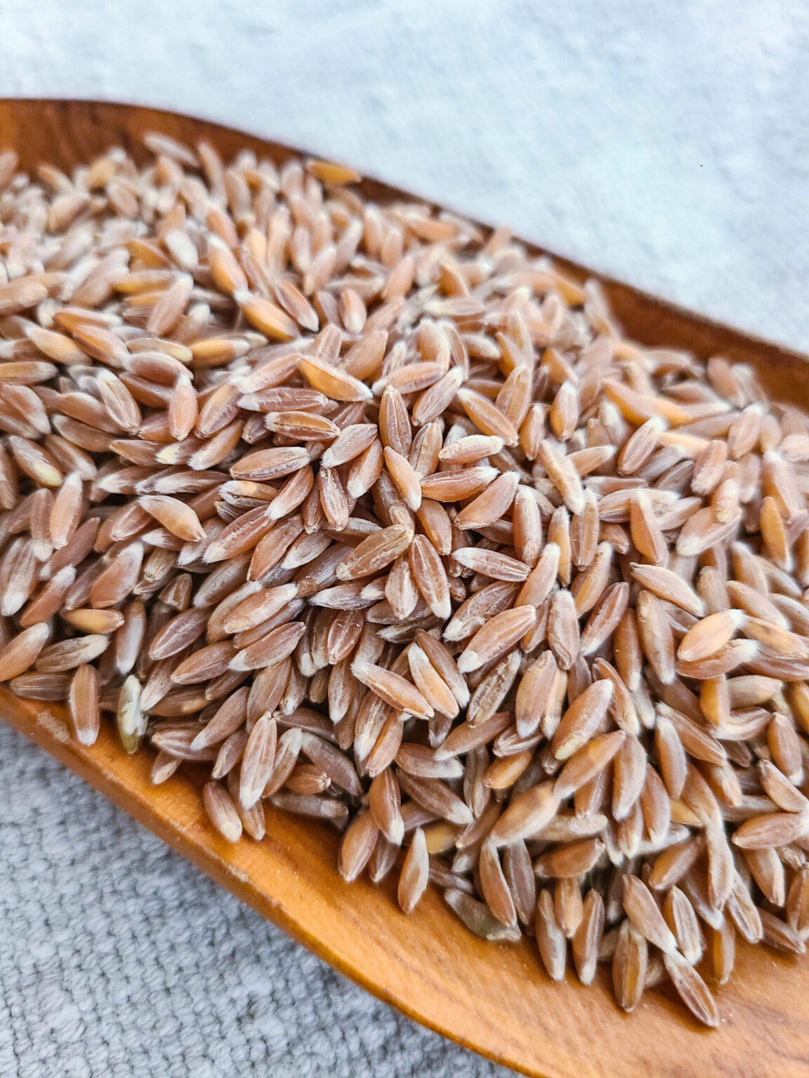 Organic Whole Grain Emmer Farro Bluebird Grain Farms