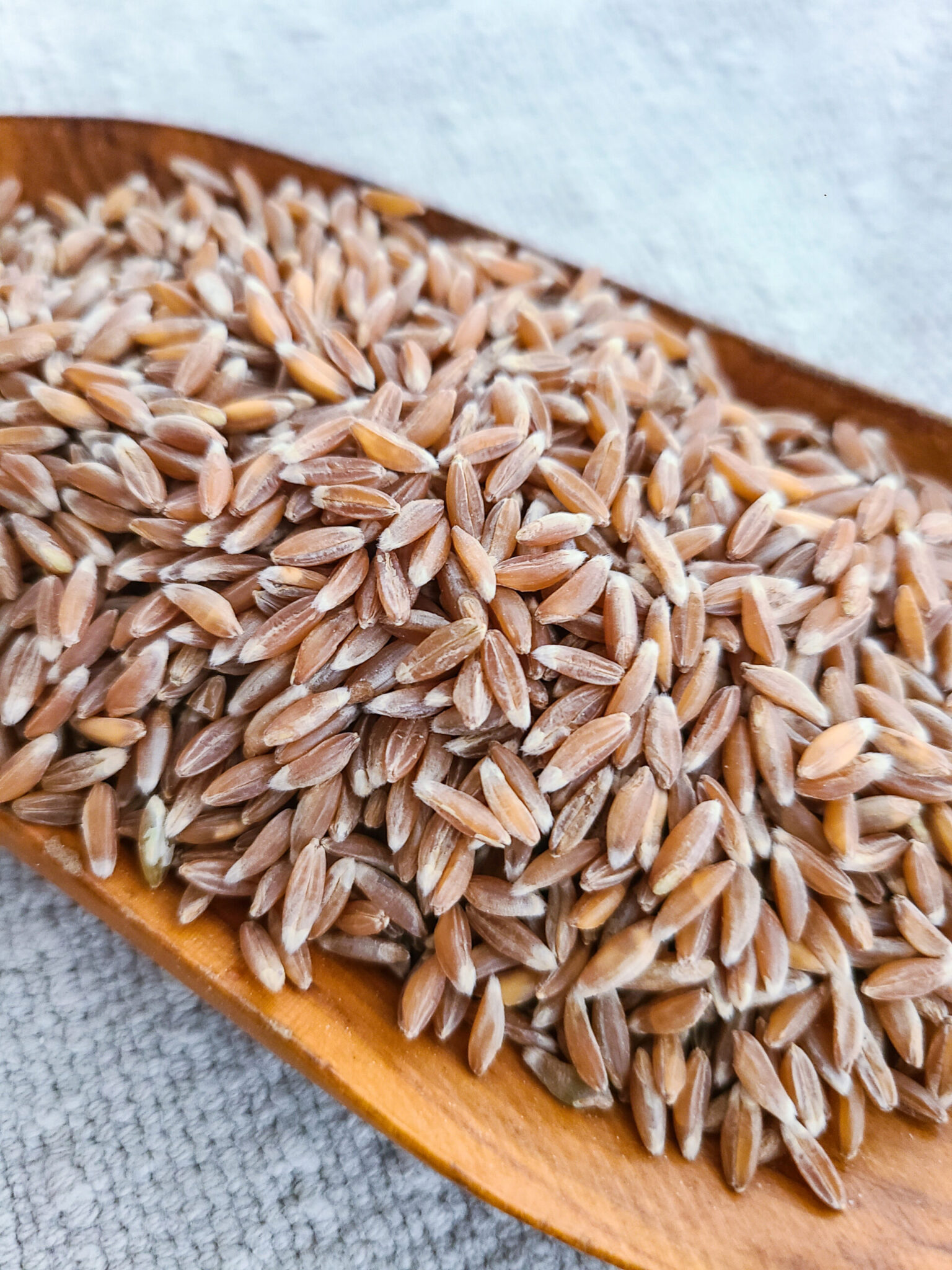 Organic Whole Grain Emmer Farro Bluebird Grain Farms