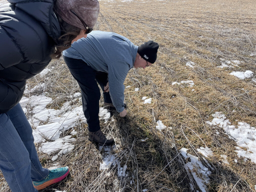 checking soil