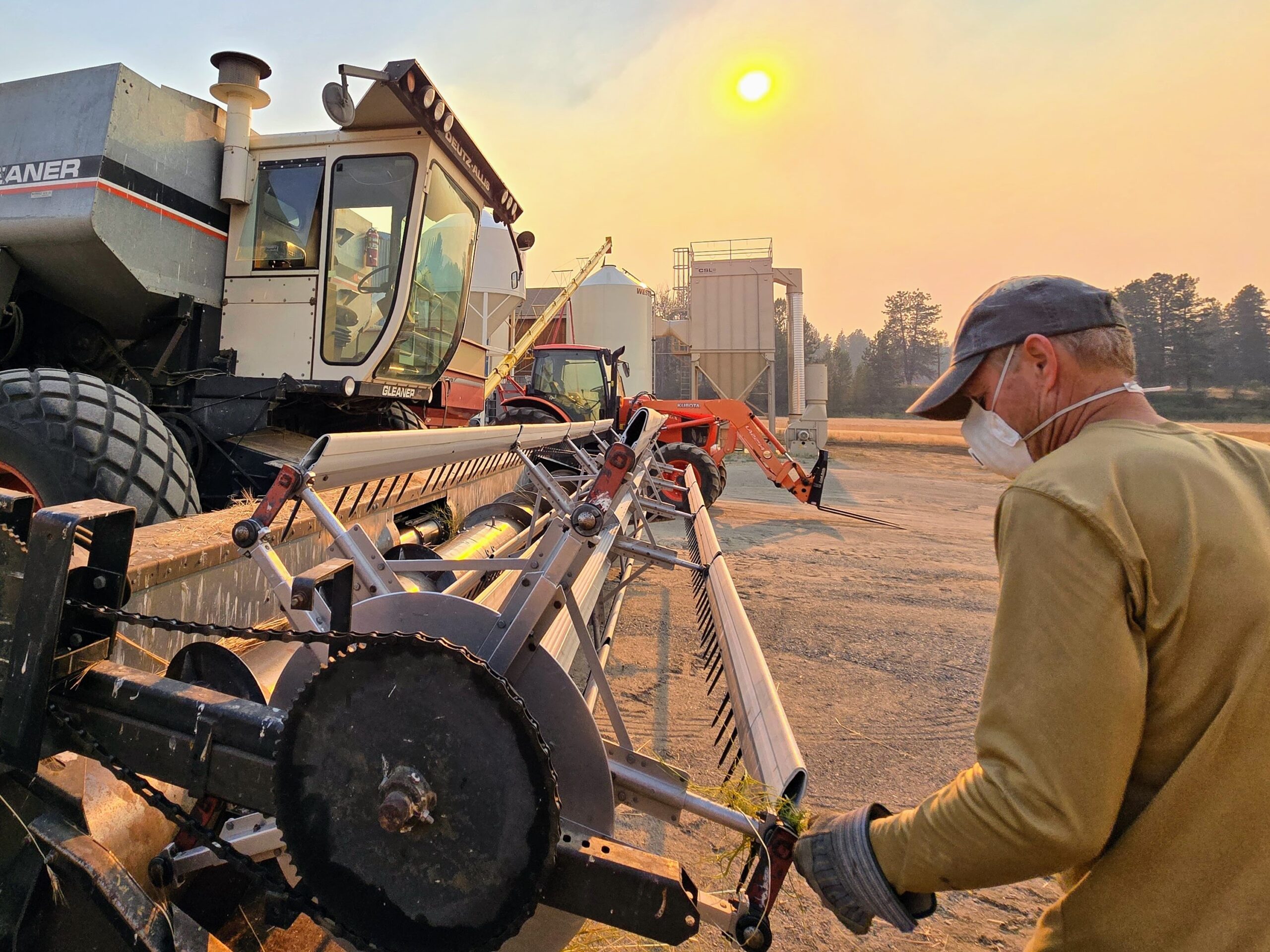 Bluebird Grain Farms Harvest