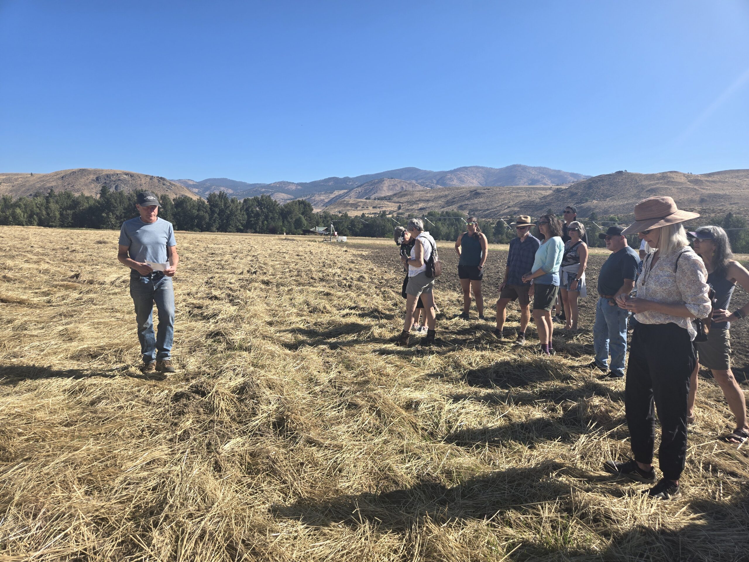 Sam Lucy, Einkorn Straw, Bluebird Grain Farm Tour