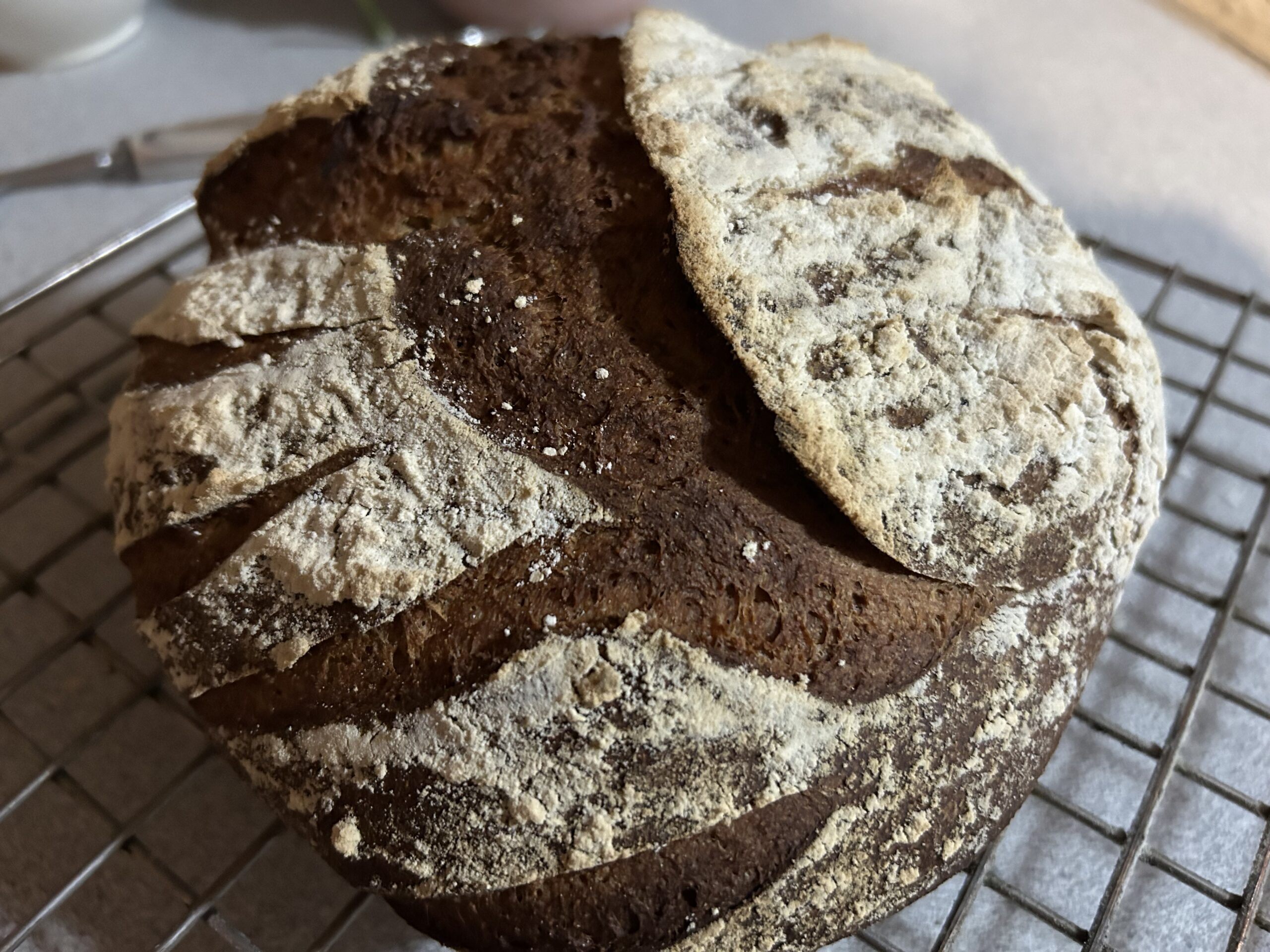ancient grain sourdough bread, emmer flour, sonora flour