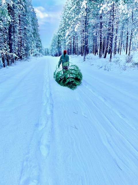 Winter Harvest at Bluebird Grain Farms