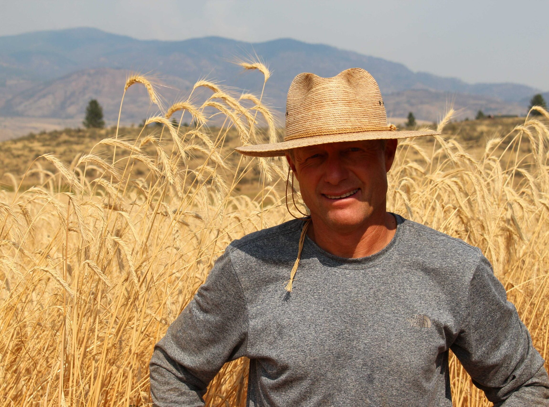 Rye Harvest, Sam Lucy,