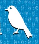 Chatbot Image